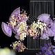 photo-2985721